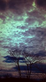 Silhouette bare tree against dramatic sky