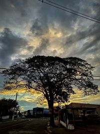 Silhouette tree by road against sky during sunset