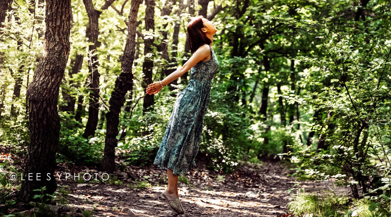 tree, forest, growth, tree trunk, nature, tranquility, beauty in nature, woodland, green color, plant, tranquil scene, branch, full length, day, lush foliage, outdoors, scenics, standing