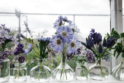 Freshly picked flowers in vases on a window sill in summer