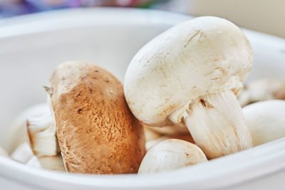 Porcini mushrooms and champignons are in plate ready for cutting