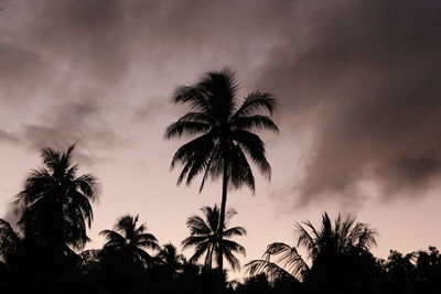 Low angle view of silhouette palm trees