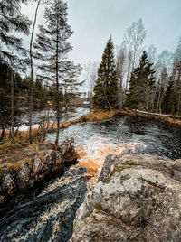 Stream flowing through rocks in forest against sky