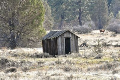 Abandoned house on mountain