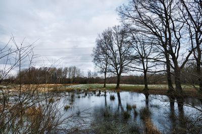 Scenic view of lake and bare trees against sky