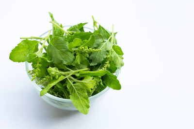 Close-up of vegetable over white background