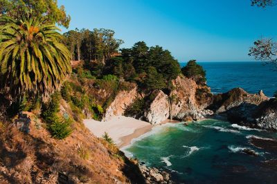 Trees and rocks at coastline