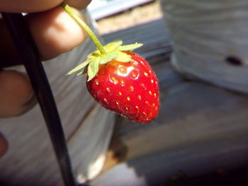 Close-up of hand holding strawberries