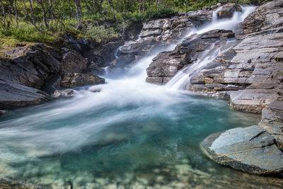 Scenic view of waterfall in forest