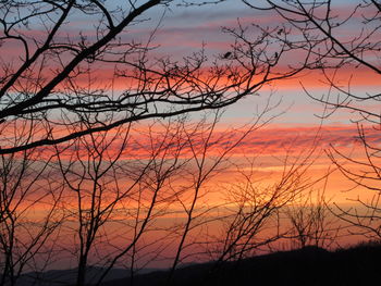 Silhouette trees against romantic sky at sunset