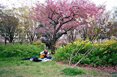 Woman sitting on tree