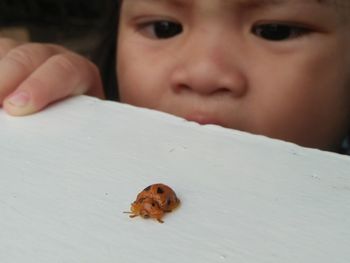 Close-up of girl looking at insect on table