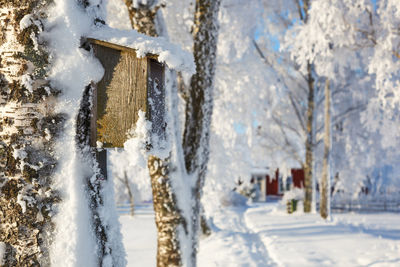 Close-up of snow covered birdhouse on tree