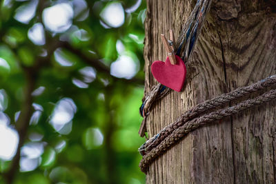 Heart shape hanging on tree trunk