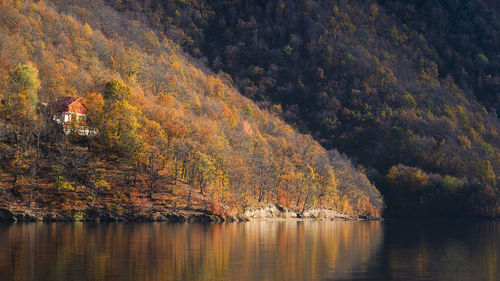 Scenic view of lake in forest during autumn