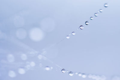 Close-up of water drops against blue background