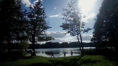 Reflection of trees in lake
