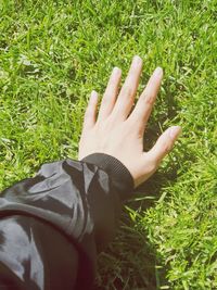 High angle view of person hand on grassy field