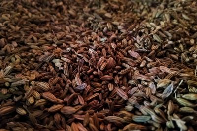 Full frame shot of fennel seeds