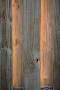 Man with umbrella on wood