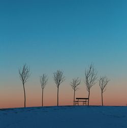 Trees on beach against clear sky