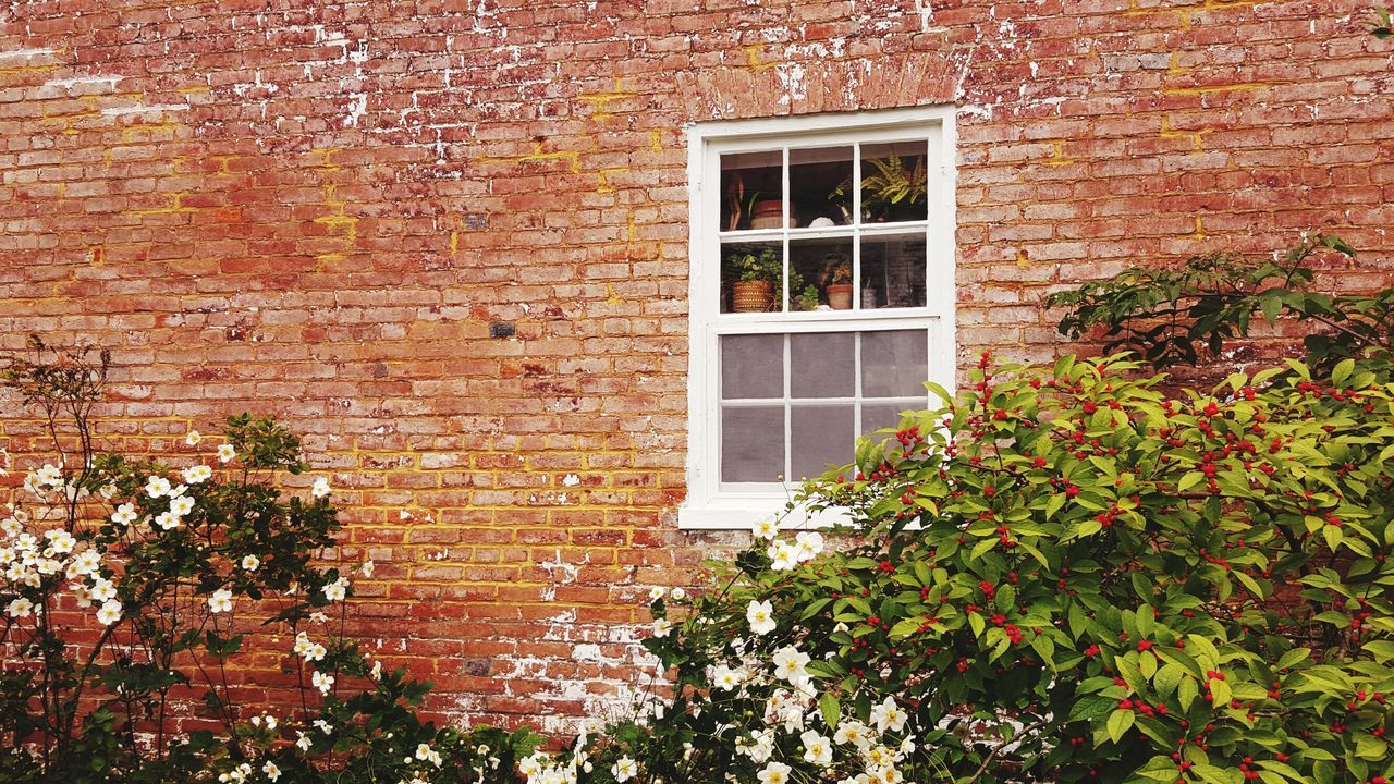 building exterior, architecture, built structure, window, brick wall, house, wall - building feature, residential structure, plant, residential building, ivy, growth, wall, day, low angle view, outdoors, building, stone wall, no people, old