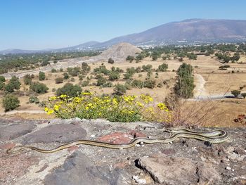 Scenic view of land against clear sky