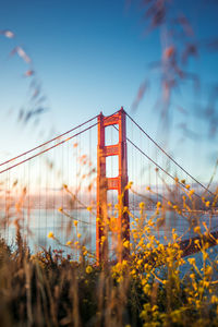 Low angle view of suspension bridge against sky