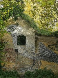 View of abandoned building