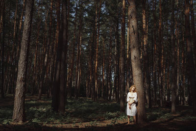 Rear view of man standing by trees in forest