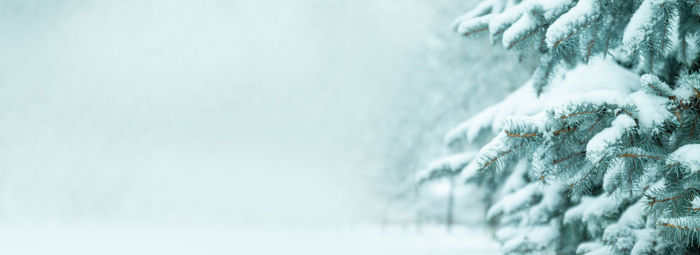 cold temperature