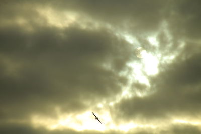 Low angle view of sky