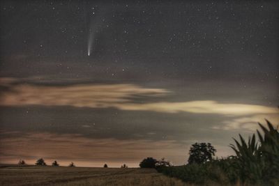 Scenic view of field against sky at night