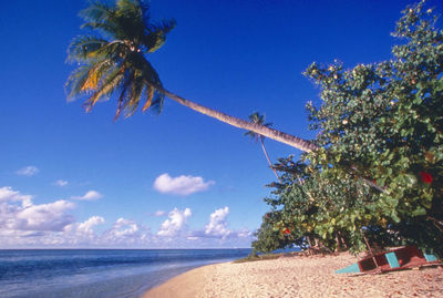 Scenic view of beach against blue sky