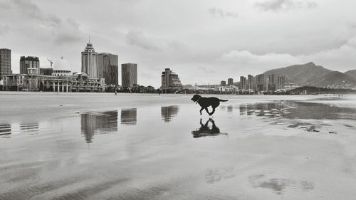 Man standing in city against sky