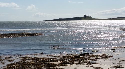 View of calm beach against sky