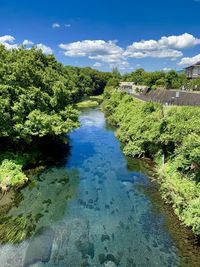 River amidst trees against sky