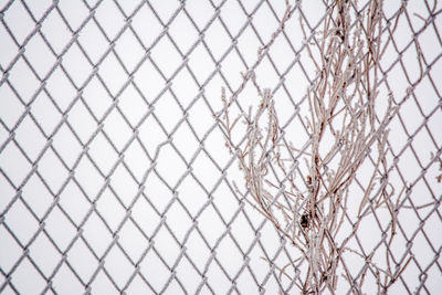 Close-up of chainlink fence against clear sky