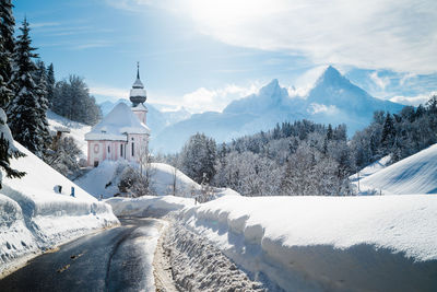 Snow covered trees and buildings against sky