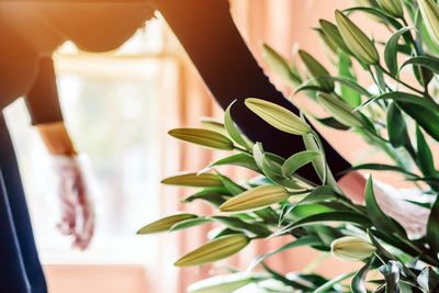 Close-up of woman standing by potted plant