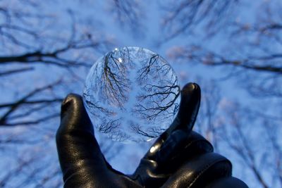 Close-up of human hand