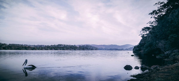 View of birds in lake against sky