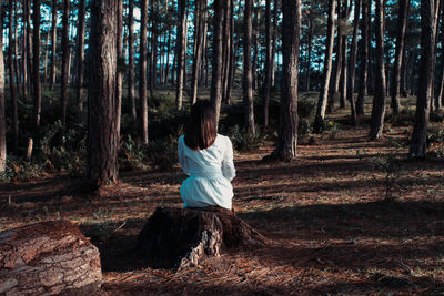 Rear view of woman sitting in forest