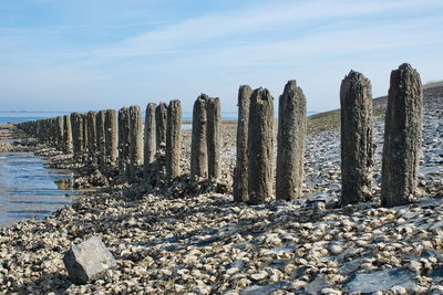 Panoramic shot of wooden post on beach against sky