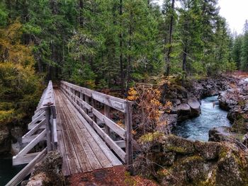 Footbridge over stream amidst trees in forest