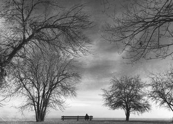 Tree by lake against sky