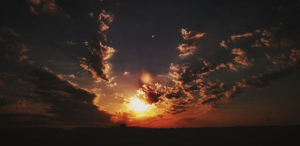 Low angle view of silhouette trees against sky during sunset