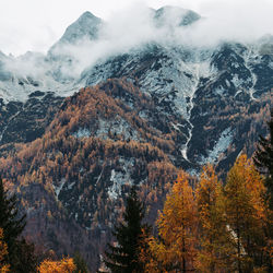 Scenic view of snowcapped mountains during autumn