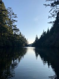 Scenic view of lake in forest against sky