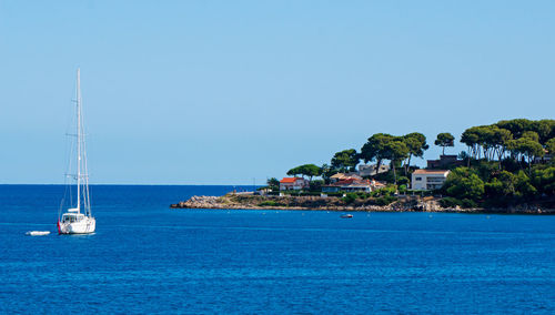 Sailboats in sea against clear blue sky